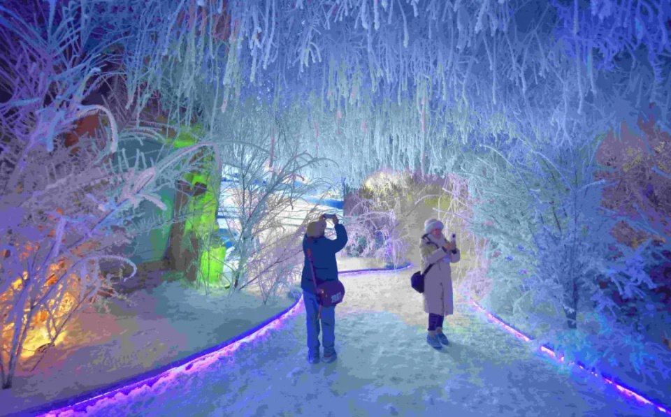 北山四季越野滑雪场 - 图片1