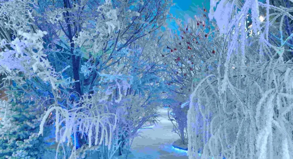 北山四季越野滑雪场 - 图片2