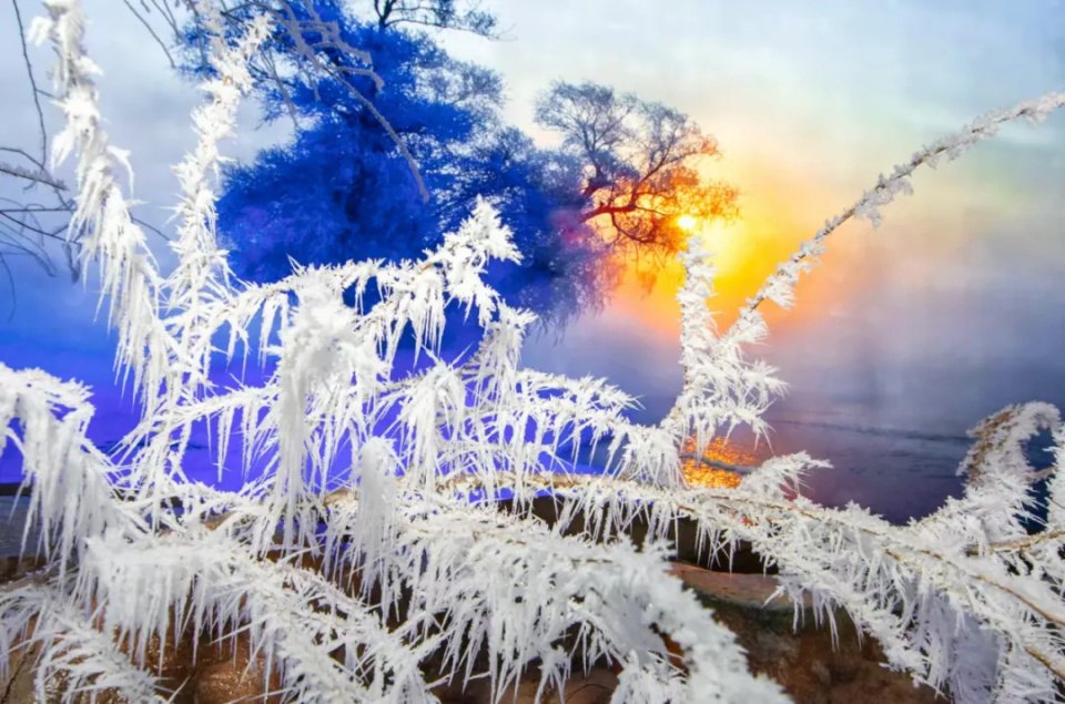 北山四季越野滑雪场 - 图片3