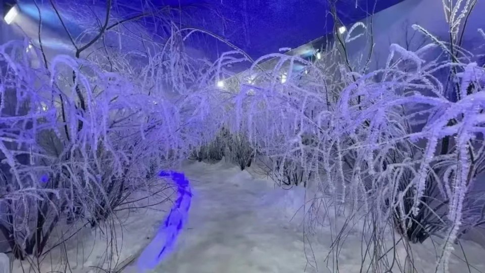 北山四季越野滑雪场 - 图片4