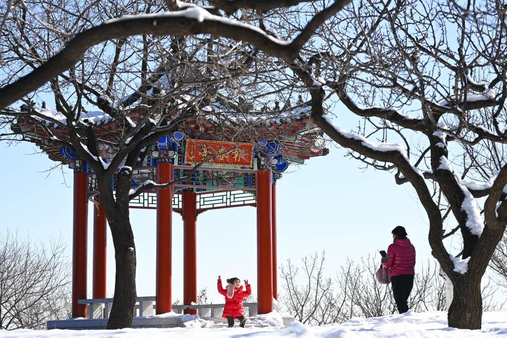 云佛雪谊公园（冬季真雪公园） - 图片1