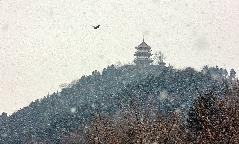 云佛雪谊公园（冬季真雪公园） - 图片2