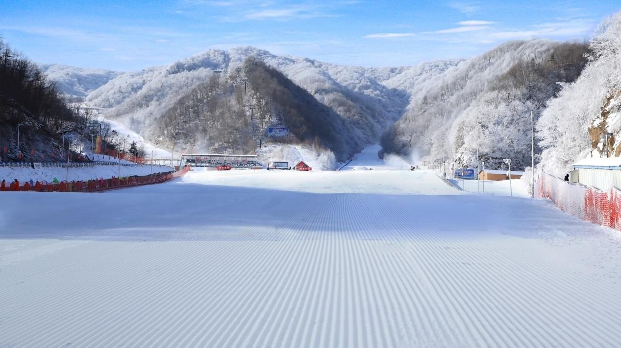 伏牛山旱雪场