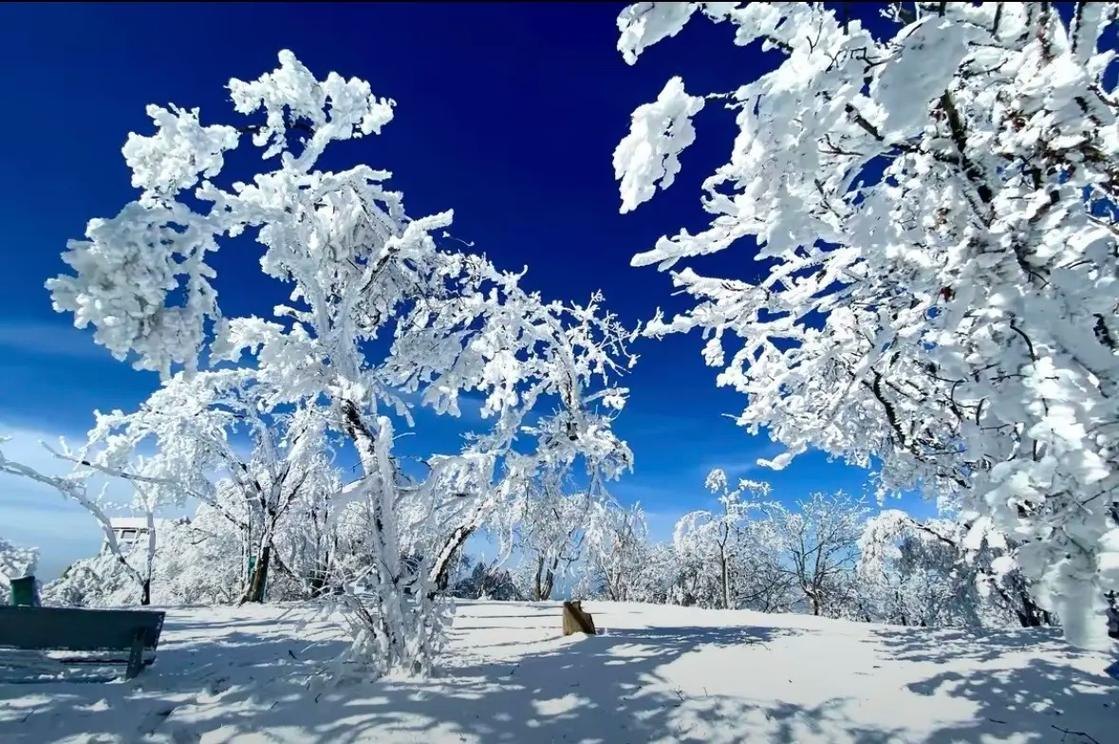 伏牛山旱雪场 - 图片4