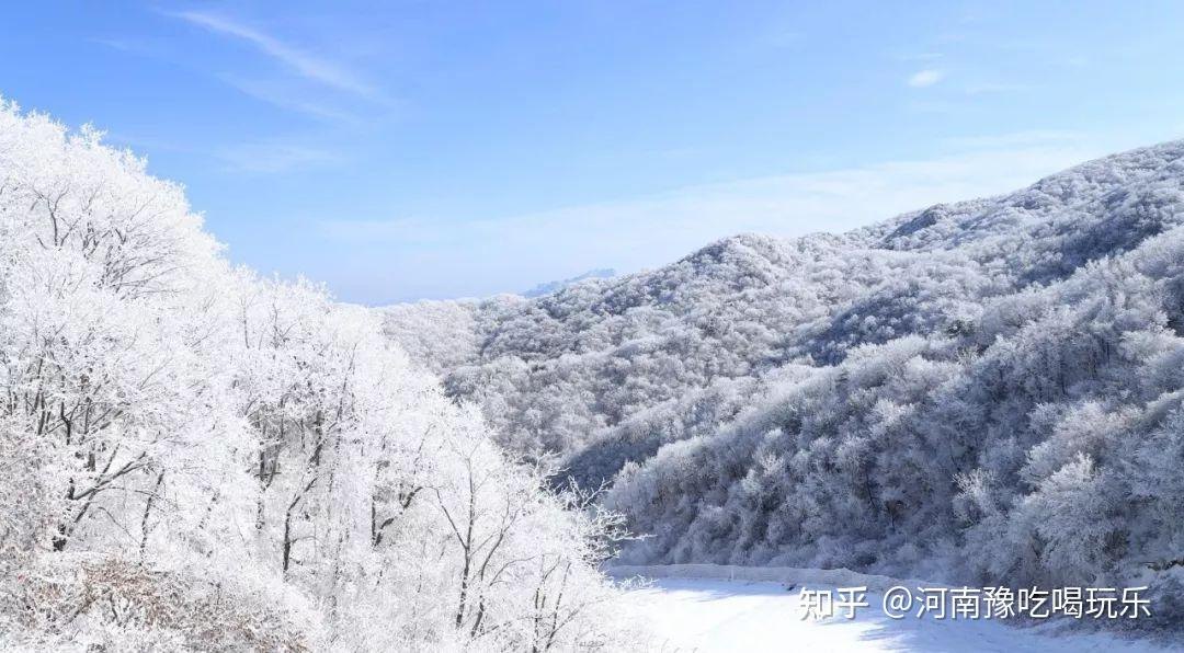 伏牛山旱雪场 - 图片5