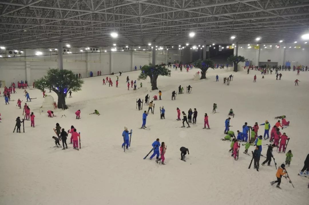 三只熊冰雪王国 - 图片1