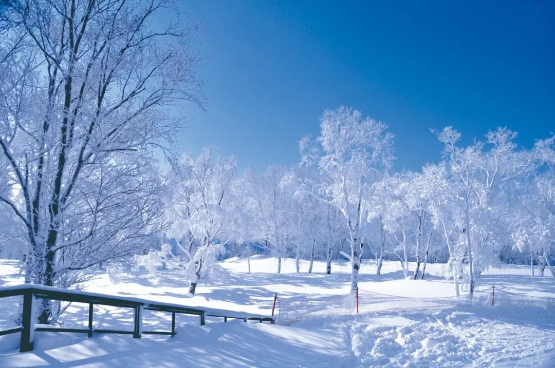 沈阳诗和远方雪摩尔滑雪基地
