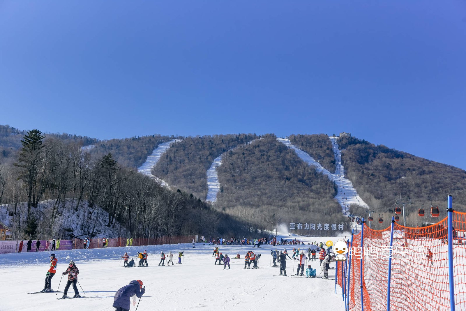 新亚布力滑雪场（阳光B区） - 图片1