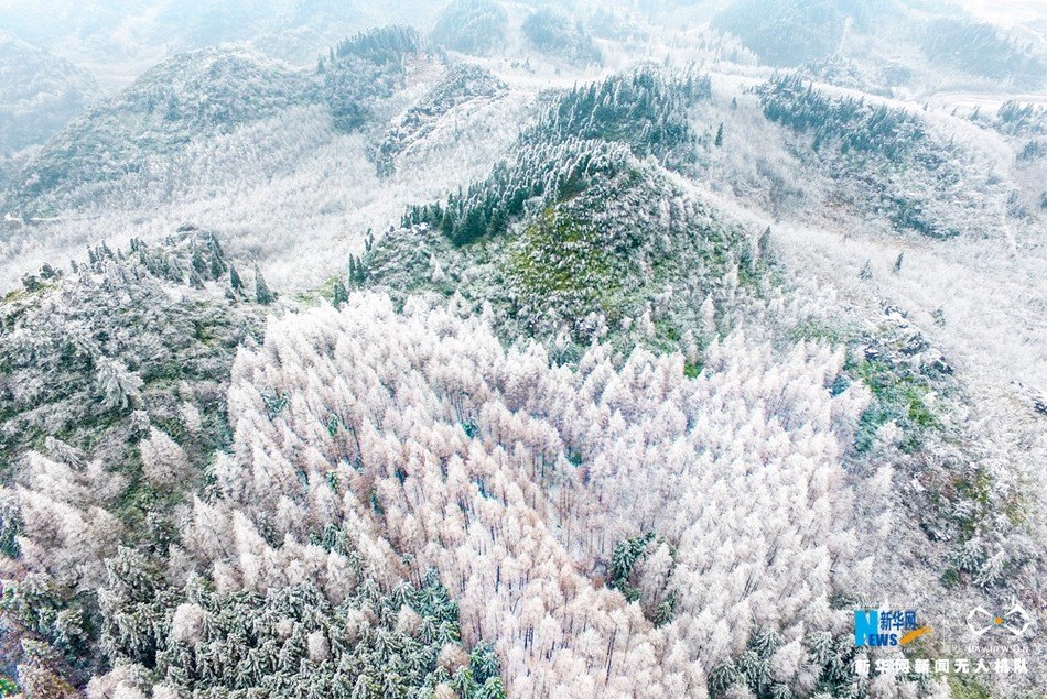 重庆热雪奇迹 - 图片5