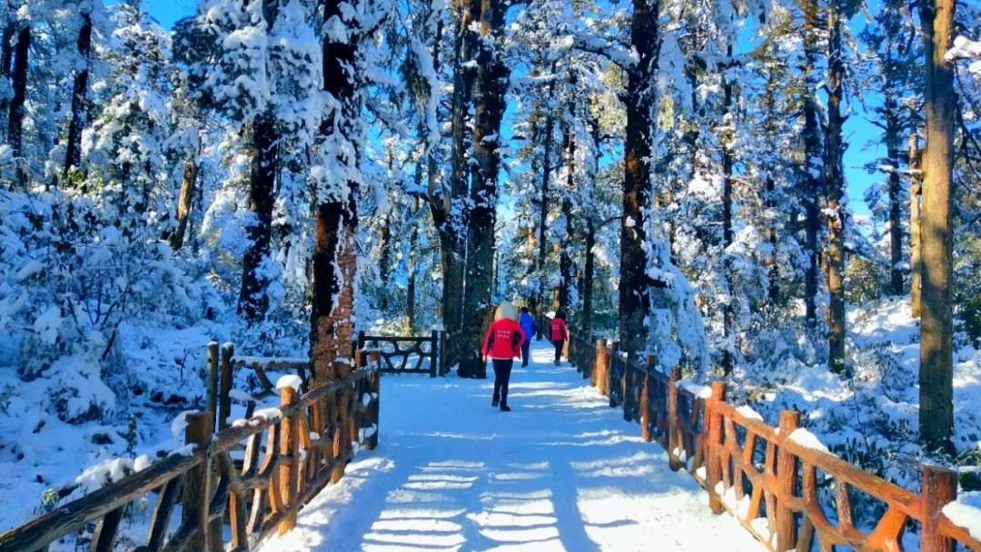 瓦屋山滑雪场 - 图片3