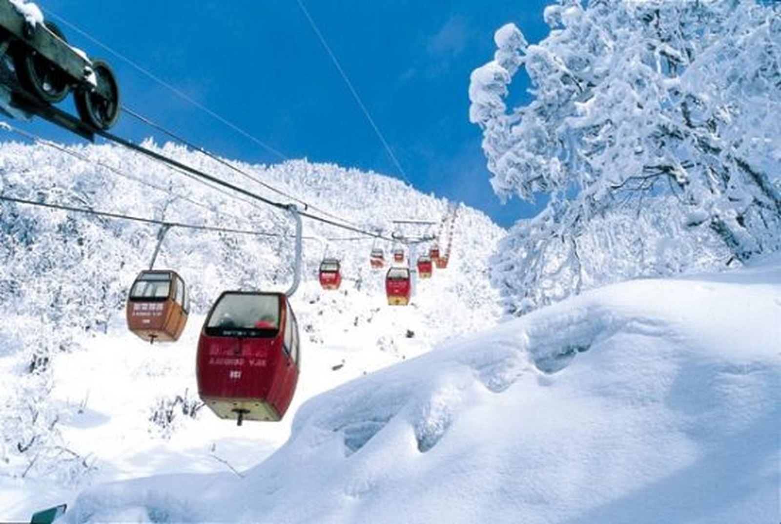 玉舍雪山滑雪场 - 图片4