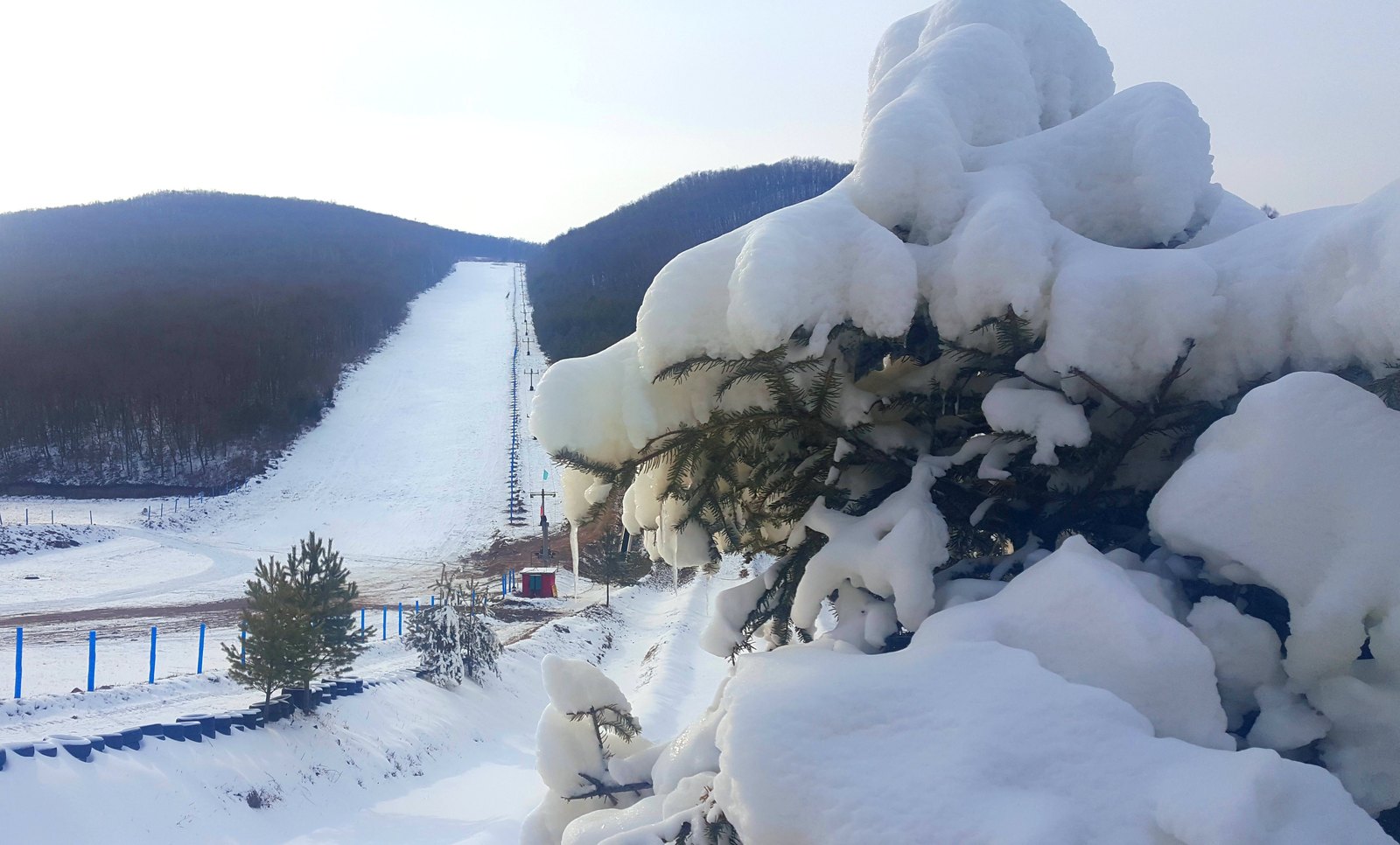 牡丹江绥芬河国家森林公园滑雪场 - 图片1