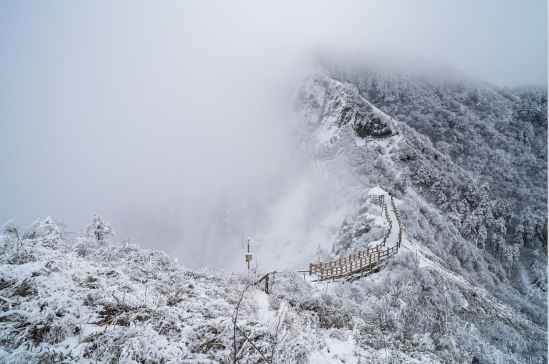 西岭雪山·熊猫地形公园（旱雪跳台） - 图片3