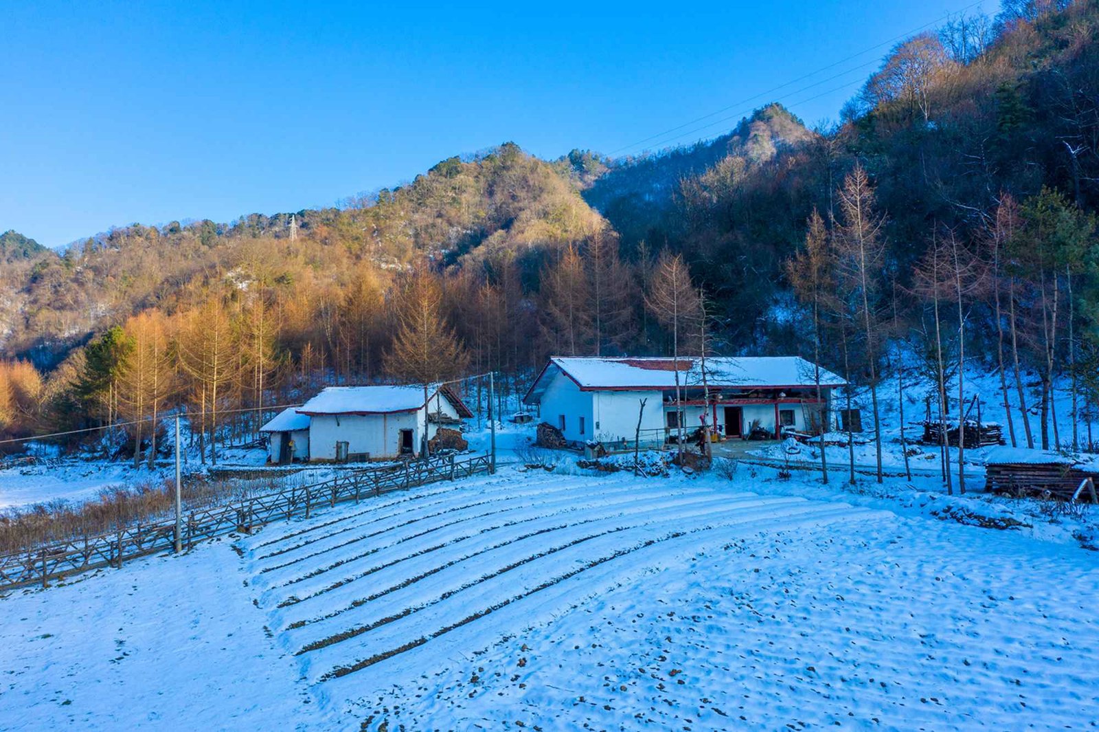 汉中留坝紫柏山国际滑雪场 - 图片2
