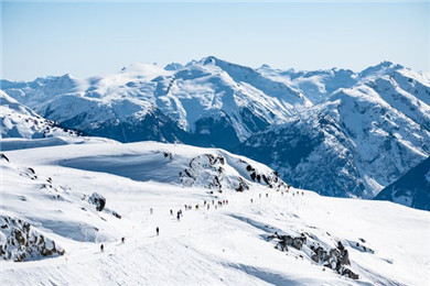 滑雪板类型